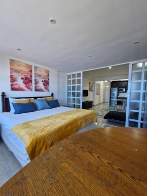 Accommodation Front - Beachfront 3 Sleeper with Ocean Views